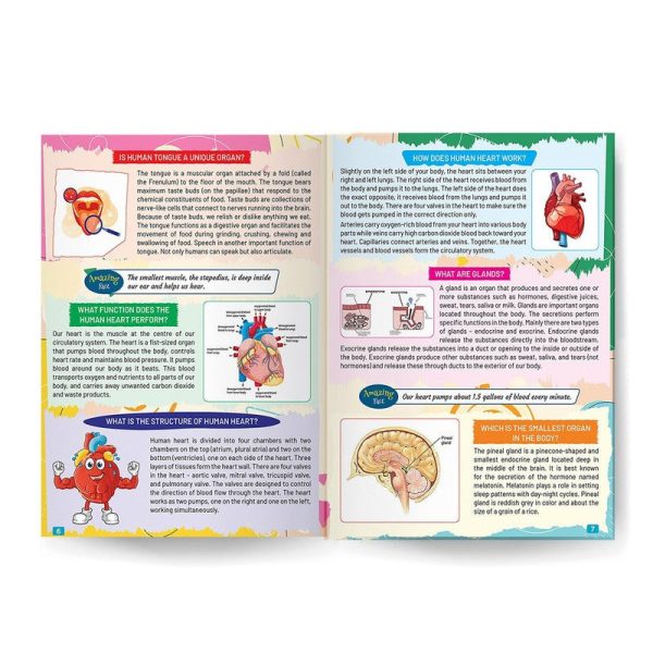 Young Minds Encyclopedia - Set of 2 Books - General Knowledge and Human Body Encyclopedia For Kids For Cheap