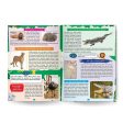 Young Minds Encyclopedia - Set of 2 Books - Animals and Space Encyclopedia For Kids Supply